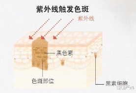 [防晒]“皮肤好”的女孩，大多有这“3个习惯”，难怪异性缘好惹人羡慕