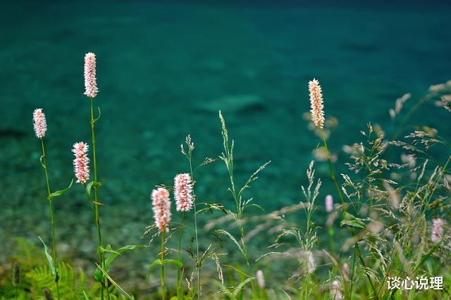 金牛座|9月，爱到最后，一无所有，3星座心灰意冷，此生再不回头