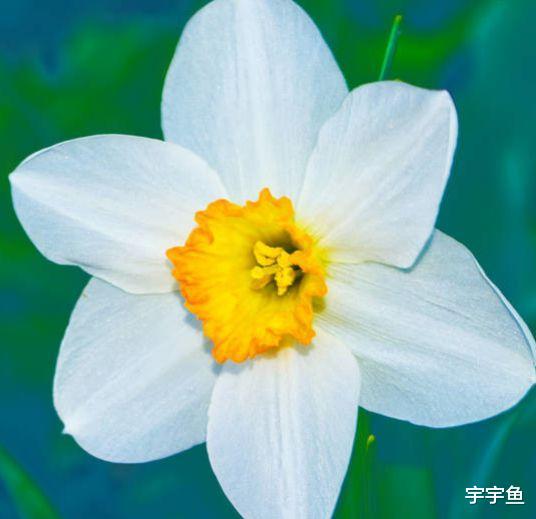 属牛|8月31号开始，4属相运势直线上升，正财大旺，富贵无双，衣食无忧