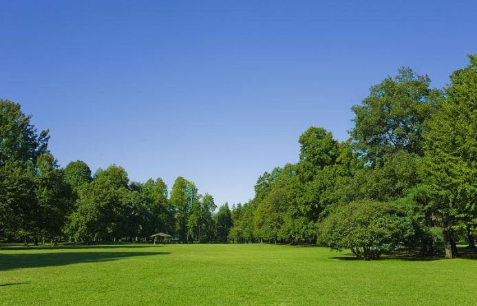 双子座|11月到年底，前有贵人、后有靠山，3生肖喜上加喜，财气一飞冲天