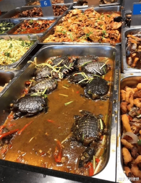 「思域」为什么我的卡宴在行驶本上是凯宴？求有相关知识的朋友来解答哈！