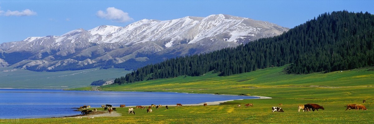 自驾|国内自驾,此生必去的旅游线路,30幅高清地图