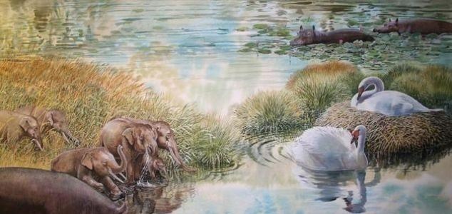 外星人|独眼巨人的传说是真的？西西里岛发现原型头骨，额头上还有伤口！