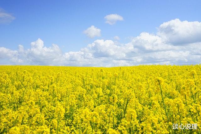 [生肖]两周后，桃花运爆棚，邂逅良人，3星座携手相依，此生难舍难分