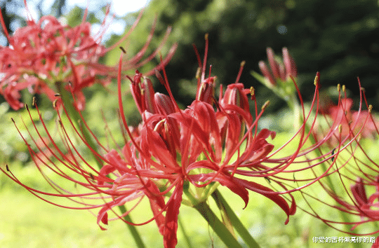 运势▲7月1日开始，4属相财运旺，好运当头，运势滔天，事业红红火火