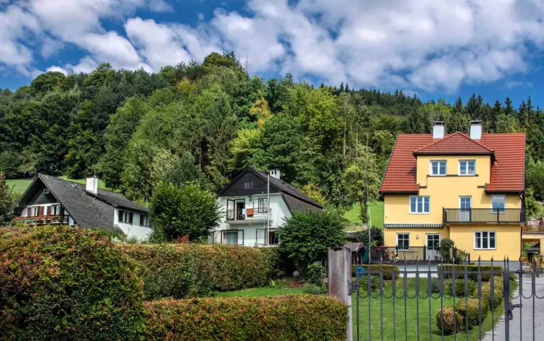 家中的祥瑞之“气”，不知不觉让你日进斗金！