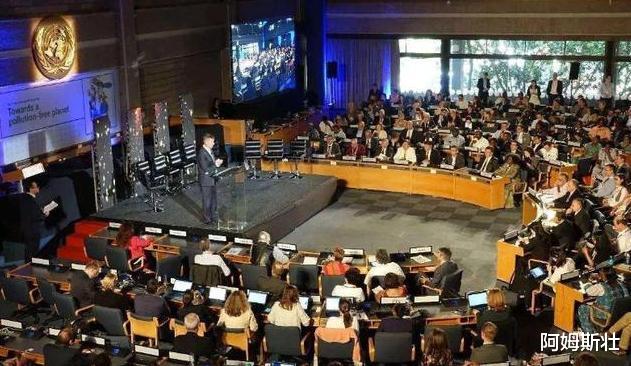 「联合国」一个自治区就想加入联合国？107个国家投赞成票，被中国一票否决