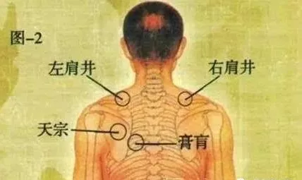 「经络」颈肩问题，久治不断根，是这里“寒气”没有化解