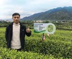 淘宝@淘宝二次创业高峰来了，他们为什么成为黑马？