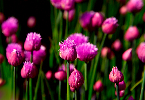 运势▲7月份，不遇难事，只遇贵人的三个星座