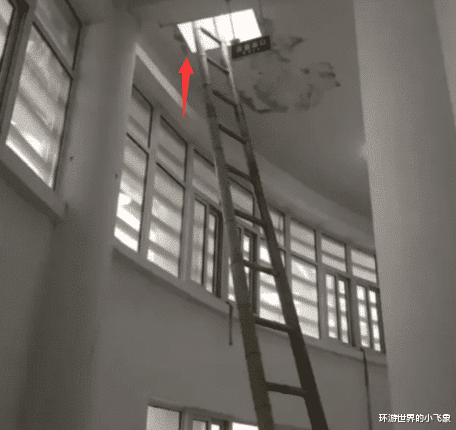 「」“为什么印度总是敢和中国叫板?”哈哈哈网友的回答绝对了!