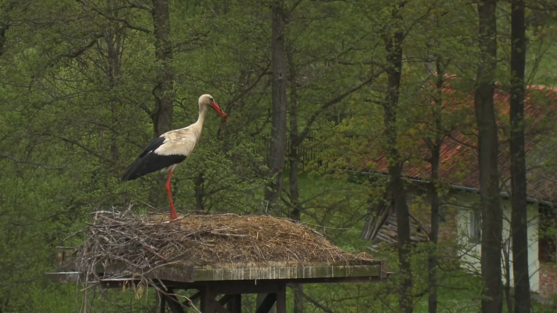 [十二星座]出生在农历这几月份的人，一生多遇贵人，好运一波接一波