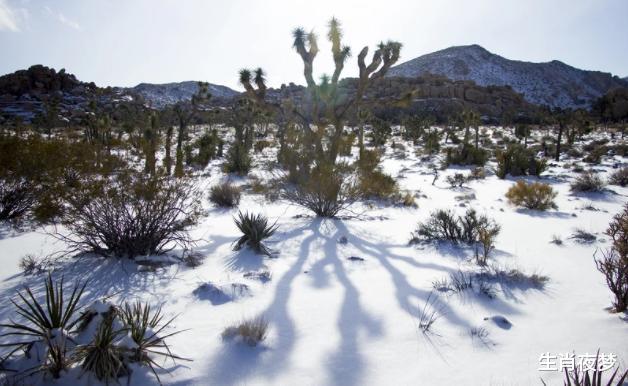 白羊座|10月底，鸳鸯戏水，其乐融融，为爱痴狂，余生非你莫属的3大生肖