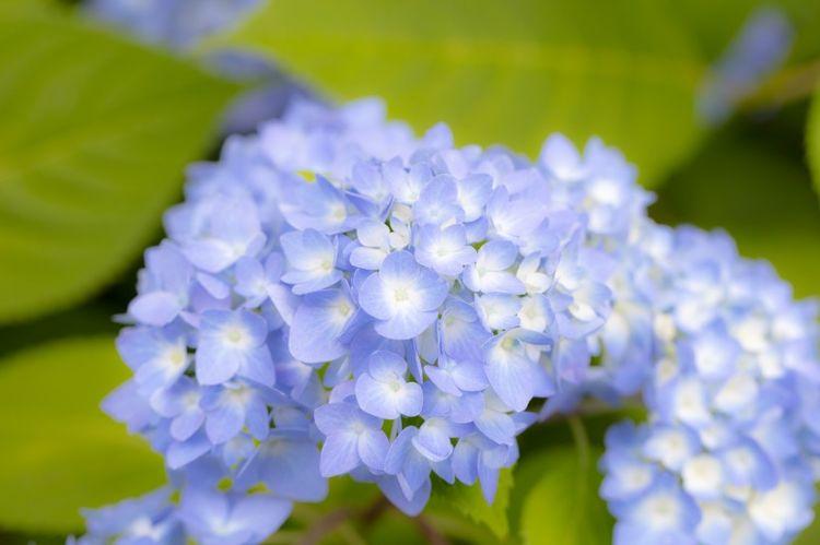 生肖|8月开始事业一路高涨，迎来曙光，大家得罪不起的四大生肖