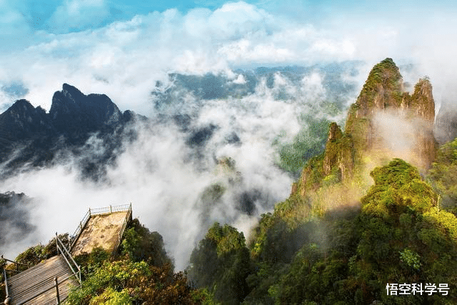 蟒蛇|蛇最怕什么药会闻到就跑?哪里蛇最多?