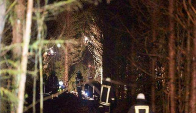 飞行员|飞行员跳伞逃生，被挂树上70多年，被发现时已和树干“合二为一”