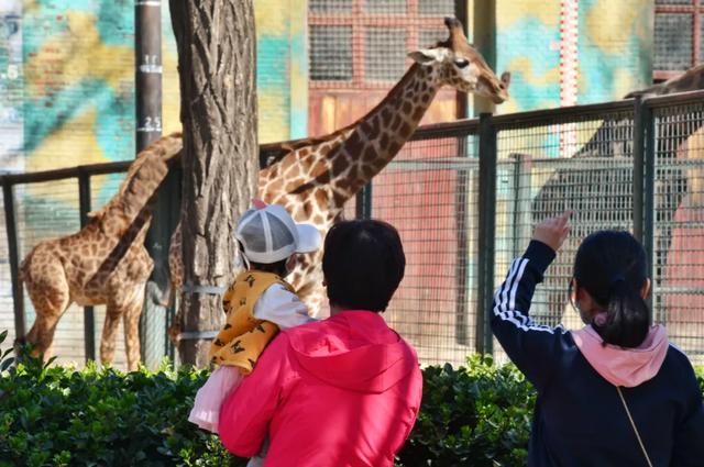 北京市@别白跑一趟！北京哪些景区开放了？这份指南请收好！