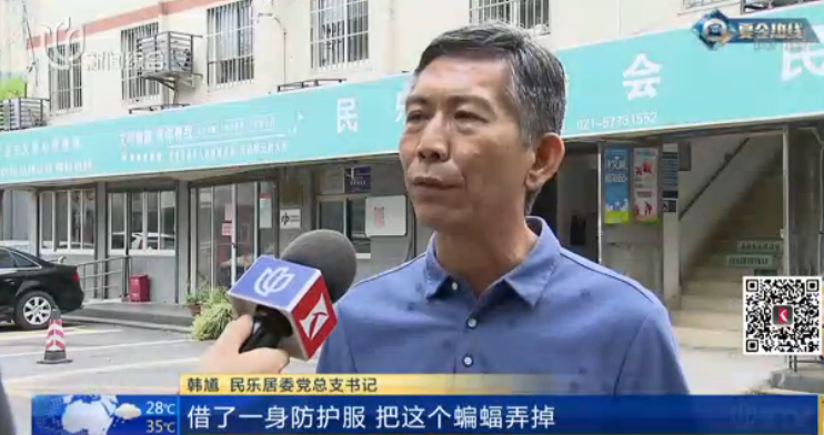 蝙蝠|家里蚊子少了很多，却高兴不起来！因为“更吓人的东西来了”…