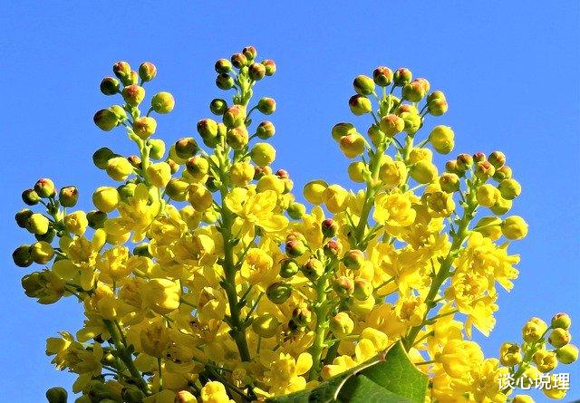 【处女座】15天后,真爱未央,朝思暮想,3星座邂逅旧爱,余生不散场