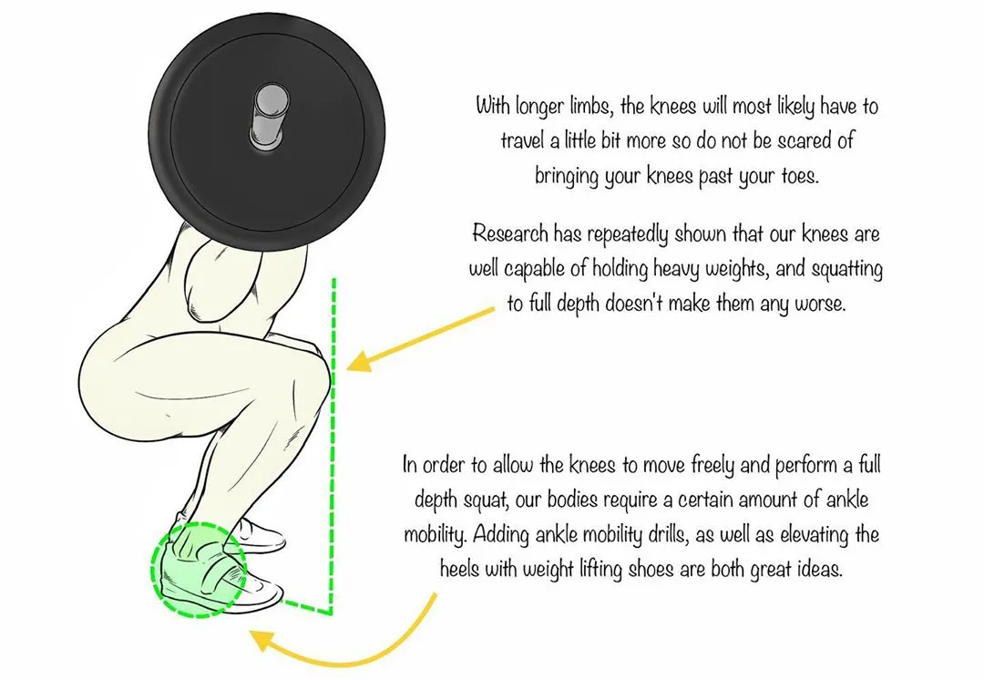 深蹲|男女都该多练的深蹲，你真的会练么？