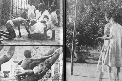 黑猩猩|人类虽进化出了语言，却付出了“沉痛代价”，只有黑猩猩得以保留