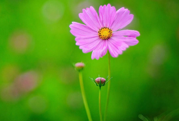 天蝎座|9月下旬好事进门，身边有贵人现身，爱情事业双丰收的4大生肖！