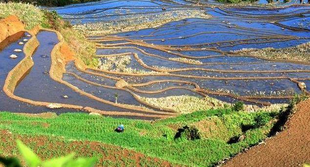 云南|云南的一个自治州，这座城市的经济增速赶超昆明，秒杀大理丽江