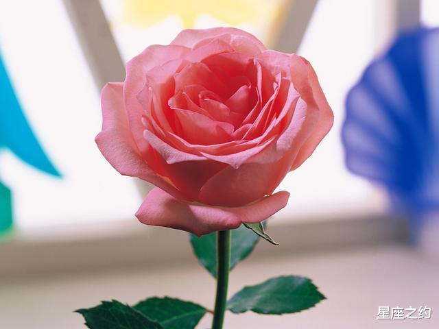 「生肖」在6月上旬，放下芥蒂，失而复得，深情守护的三大星座