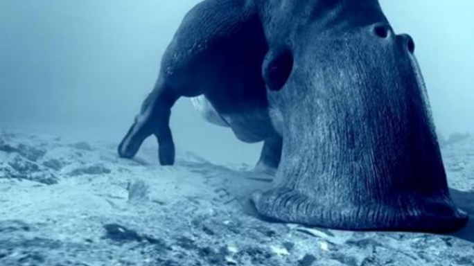 木卫二|NASA带来好消息！木卫二液态海洋再添新证据，或已有生命存在