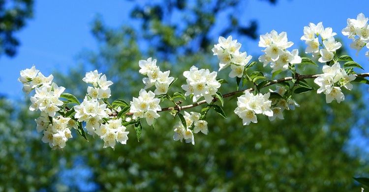 双鱼座|近期，磕碰中见真情，患难间现挚爱的四星座，红鸾又动，邂逅真爱