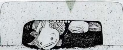 |三观尽毁！动物界里也有隔壁“好邻居”？雄性帮人养孩子却不知情