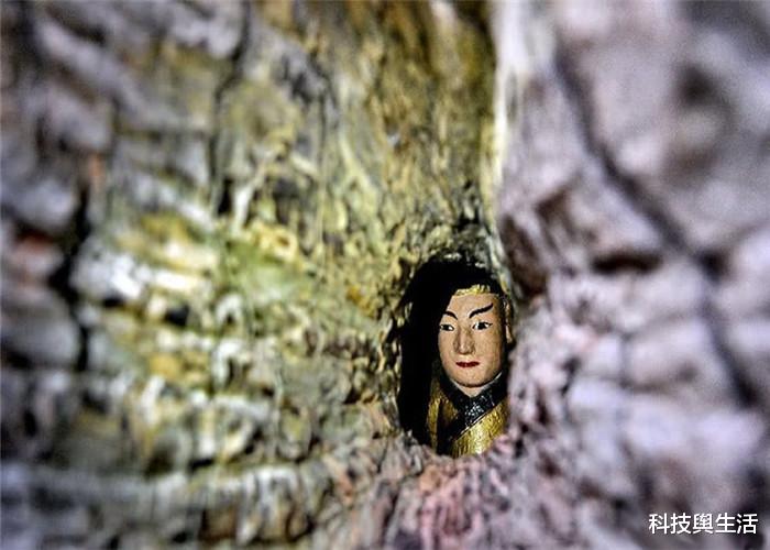 「」你真的了解树抱佛吗？巴掌大小的树洞，藏着一个神秘东西！