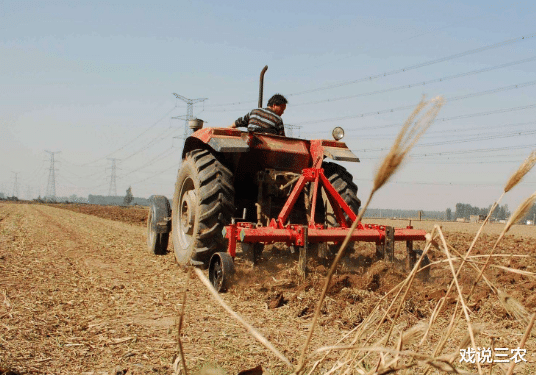 戏说三农|农村怪象：死人有地而20几岁的大活人却没地，这合理吗？咋破解？