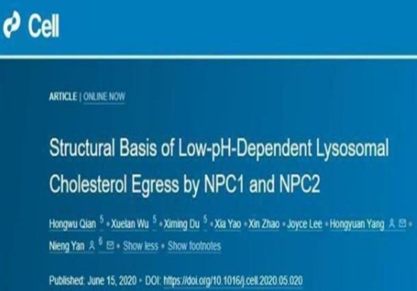 中学■就在14天前，清华“留不住”的女教授颜宁，为美国\再立新功\