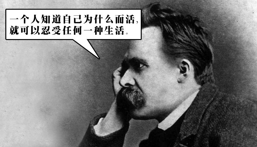 为什么《野狼disco》这么上头？