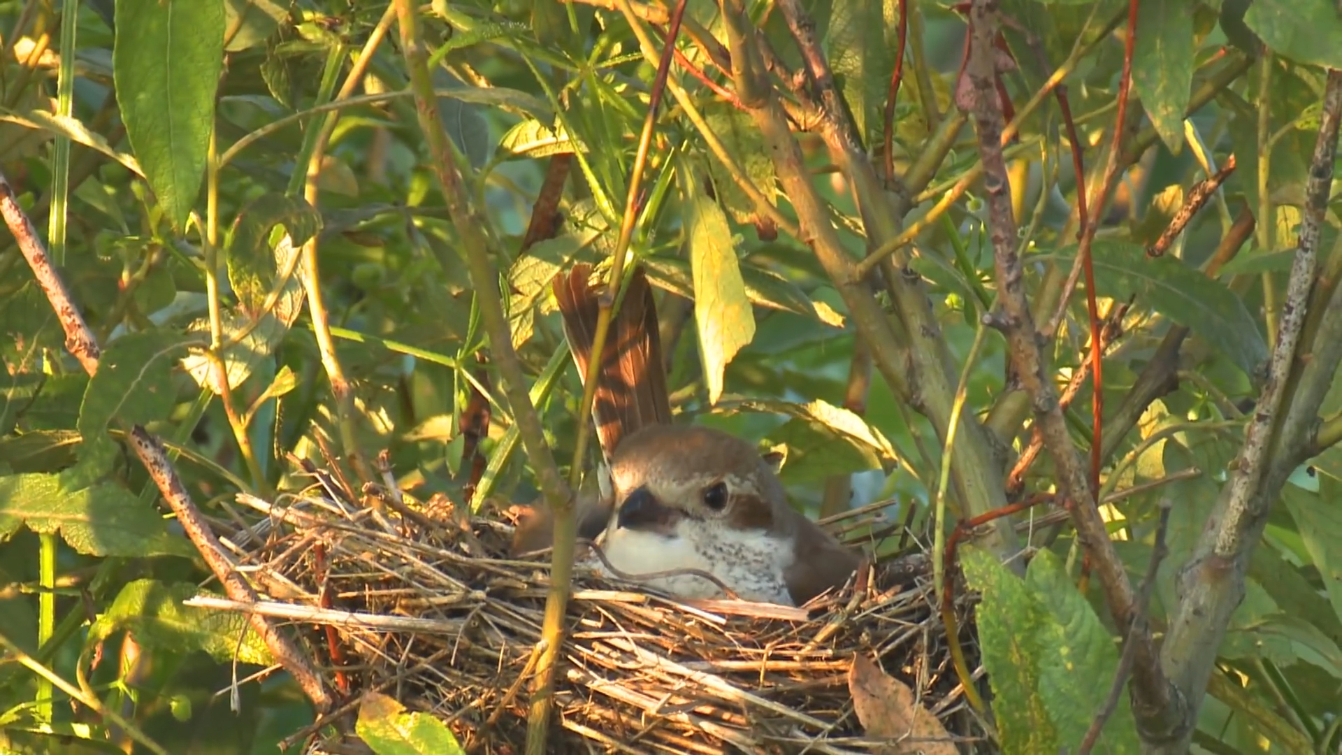 『』农历这几月份出生的人,前期落魄,到了中年,财运难挡,横财大发