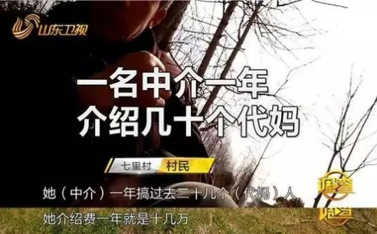 郑爽|郑爽最新回应来了！王思聪一条朋友圈揭露真相