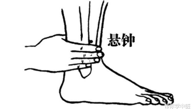 【高血压】湿气降，血压就降！两个穴位，一补一散，专治痰湿高血压
