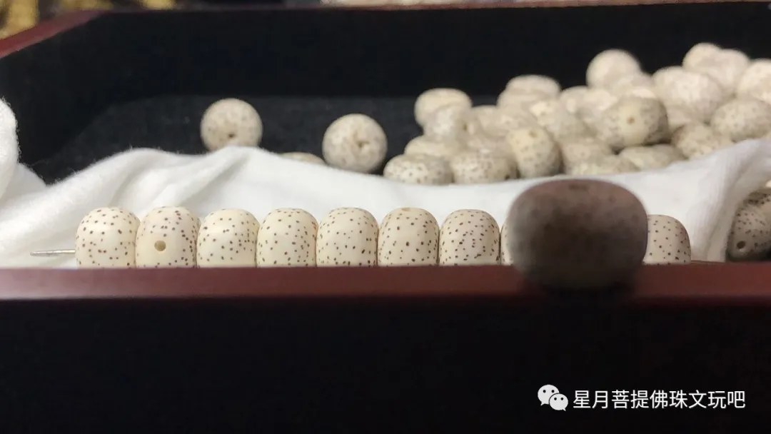 |星月是盘出来的好?还是养出来的好?