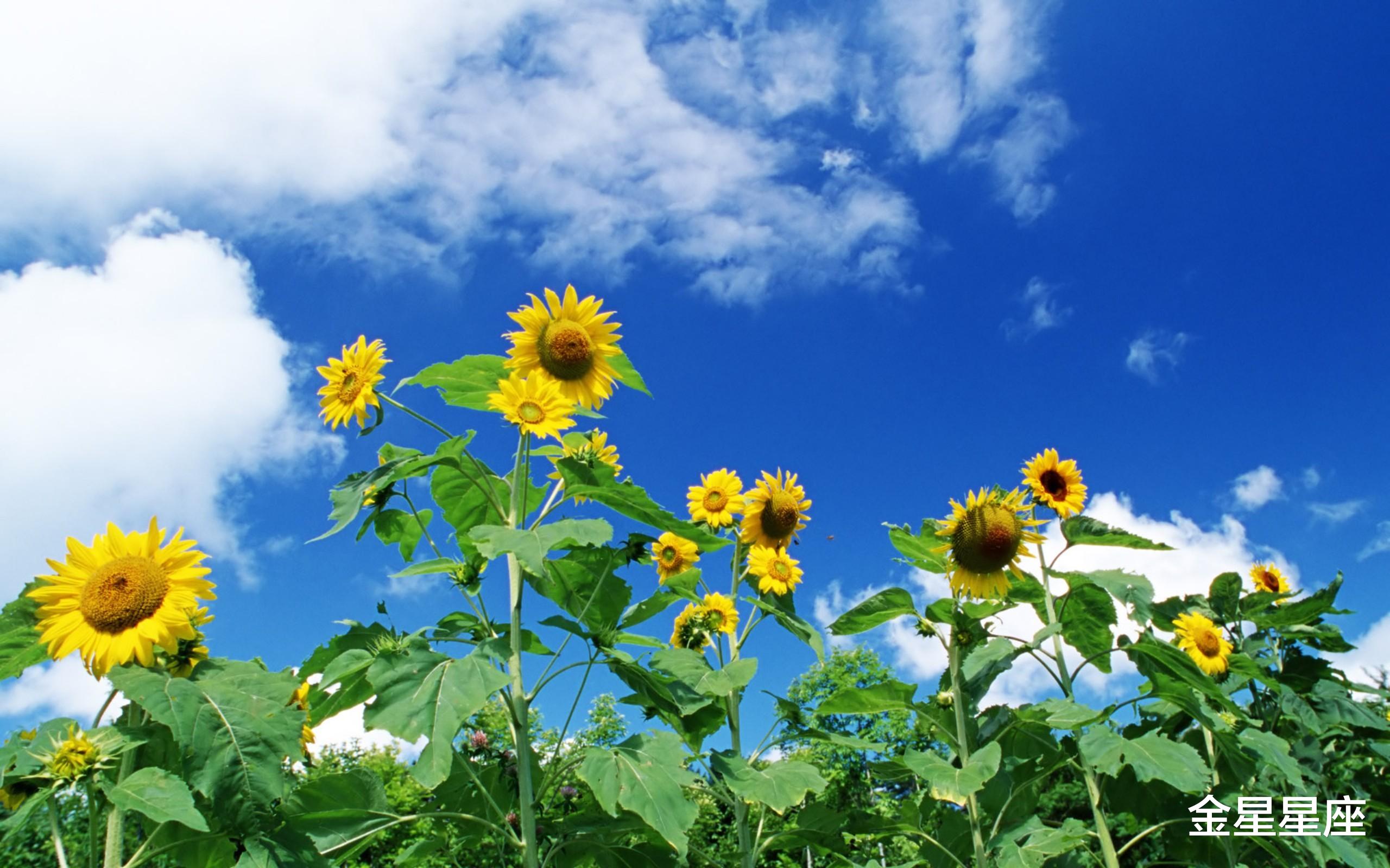 『运势』6月22号,运势畅通,3生肖一顺百顺,生意兴隆,日子扬眉吐气