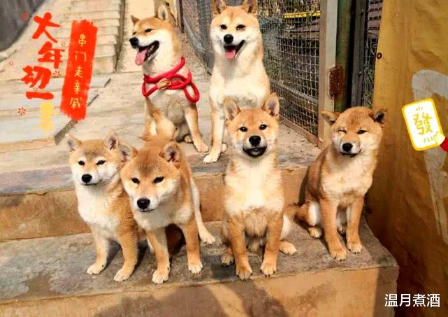 王珞丹■王珞丹想退回瓢哥给蘑菇屋何炅让再等等,节目组直接霸气回复