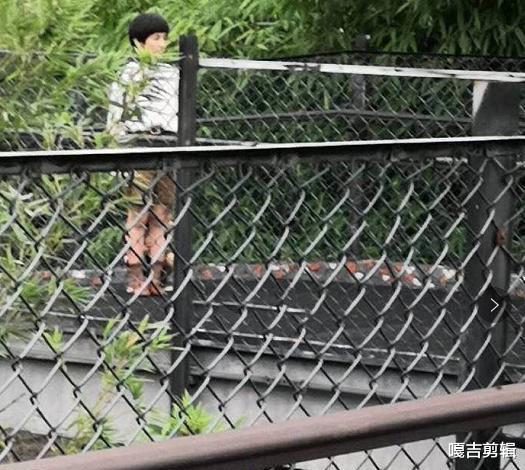 张子枫|张子枫高考391分曝光后,连身材也变成了槽点,真的是墙倒众人推呀!