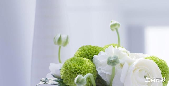 旧爱|喜鹊搭桥，七夕来到！3生肖桃花滚滚，再度与旧爱牵手，坠入爱河