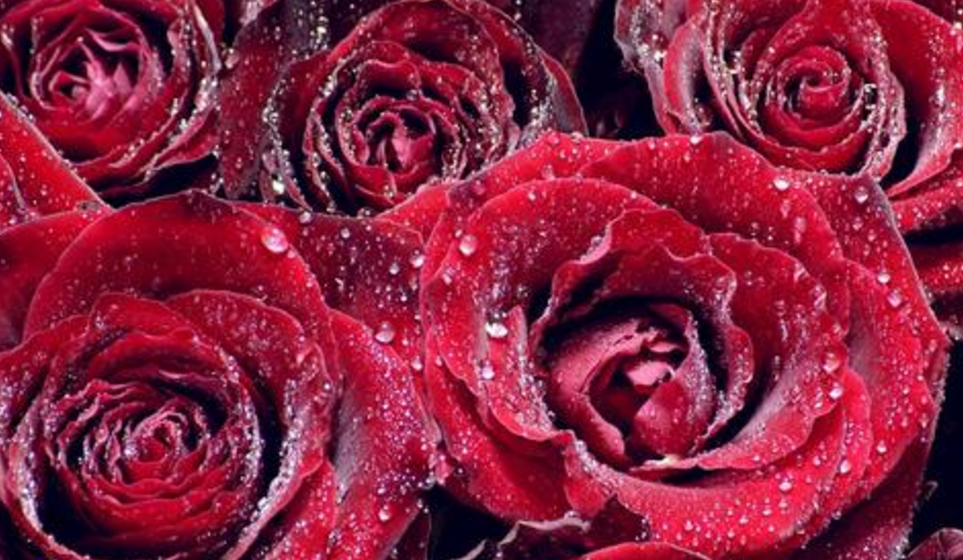 「生肖」6月下旬，财运追着跑，钞票堆成山，有房有车的3大生肖