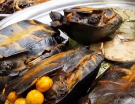 豆腐|万物皆可“烤”，盘点烧烤摊上4种新奇烤串，吃过的都是“吃货”