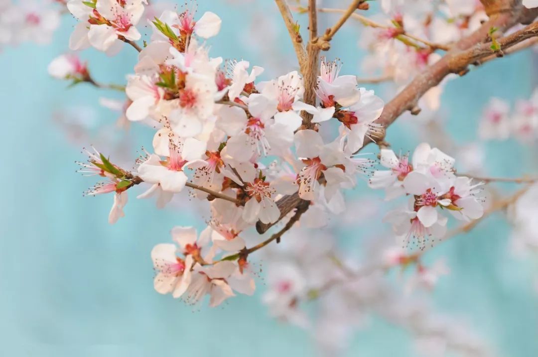 星座女|有能力、比男人还会赚钱的星座女，不用嫁富豪，自己就是富豪