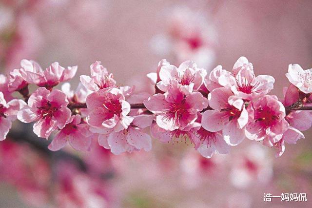 天蝎座▲6月20号转运重生，3生肖渡过难关，财运临门，贵人不请自来