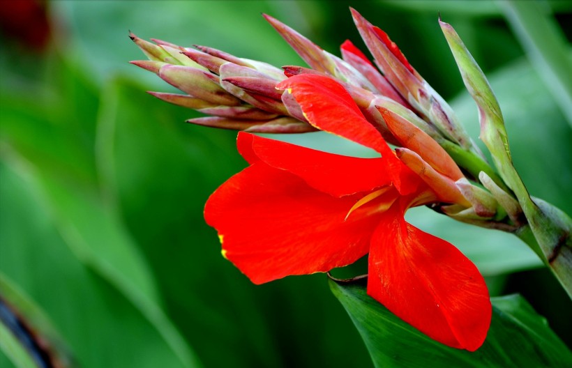 「生肖」好姻缘不怕晚，未来一周，终遇有缘人，恭喜4生肖顺利脱单！