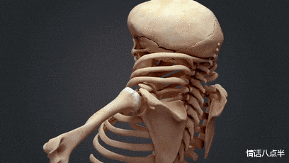 |我们必须进化的这么丑，才能不怕车祸？