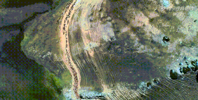 「餐厅」连锁餐厅,成功毁掉了中国地方菜